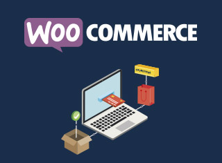Manual WooCommerce