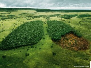 Publicidades gráficas que buscan generar conciencia social