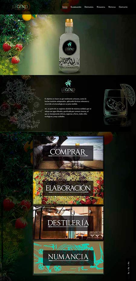 diseño de página web para ginebra