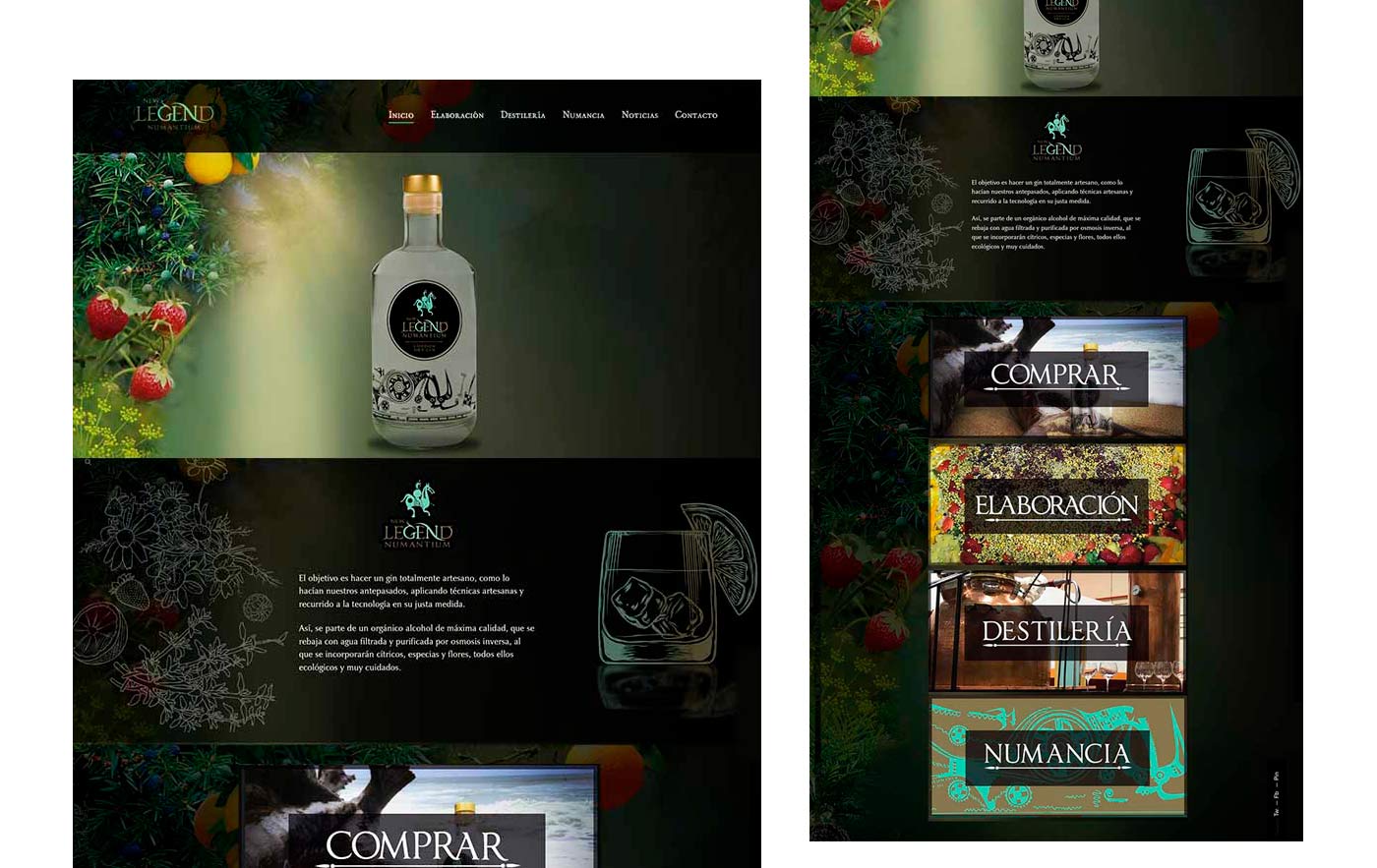 diseño de pagina web para ginebra