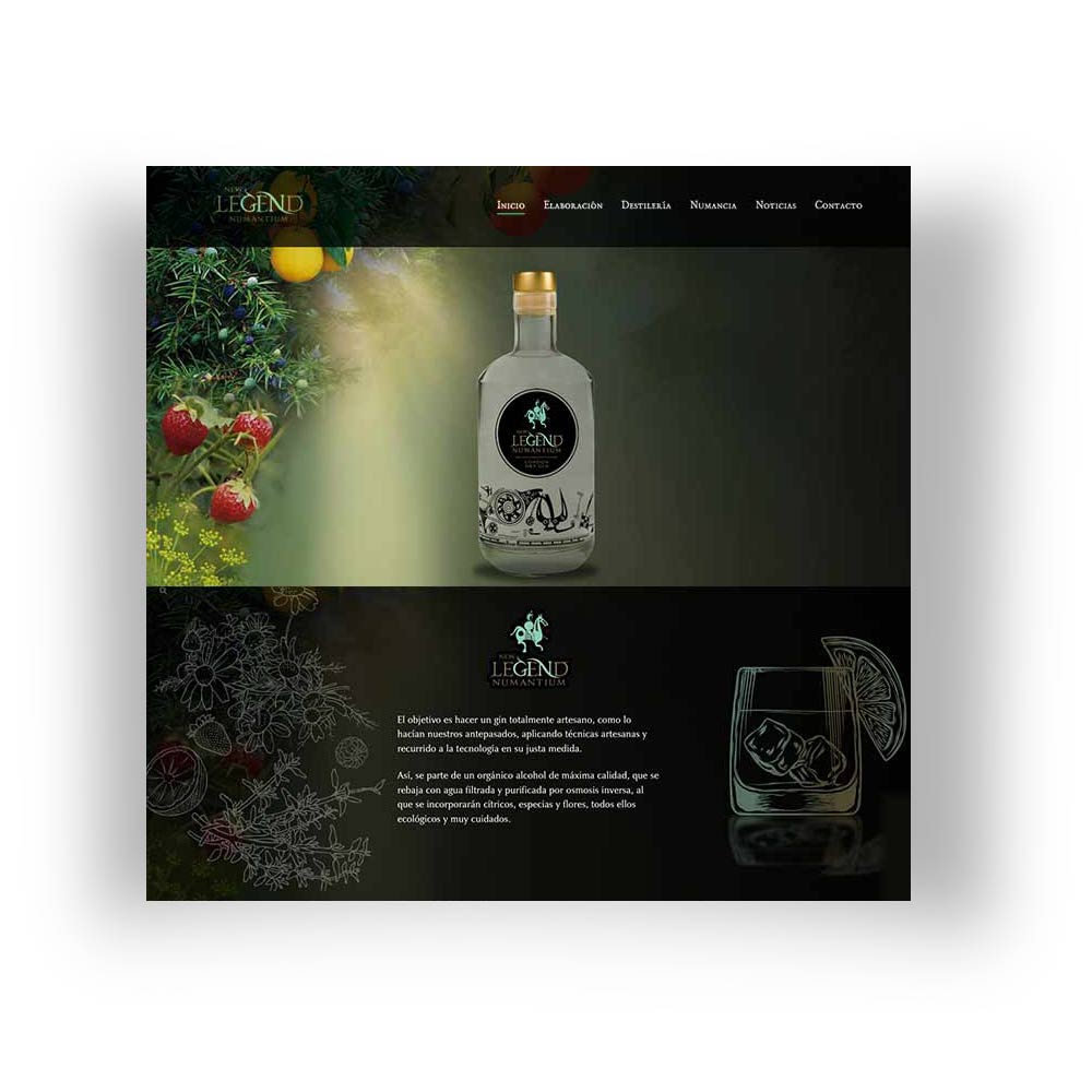 diseño de pagina web para ginebra