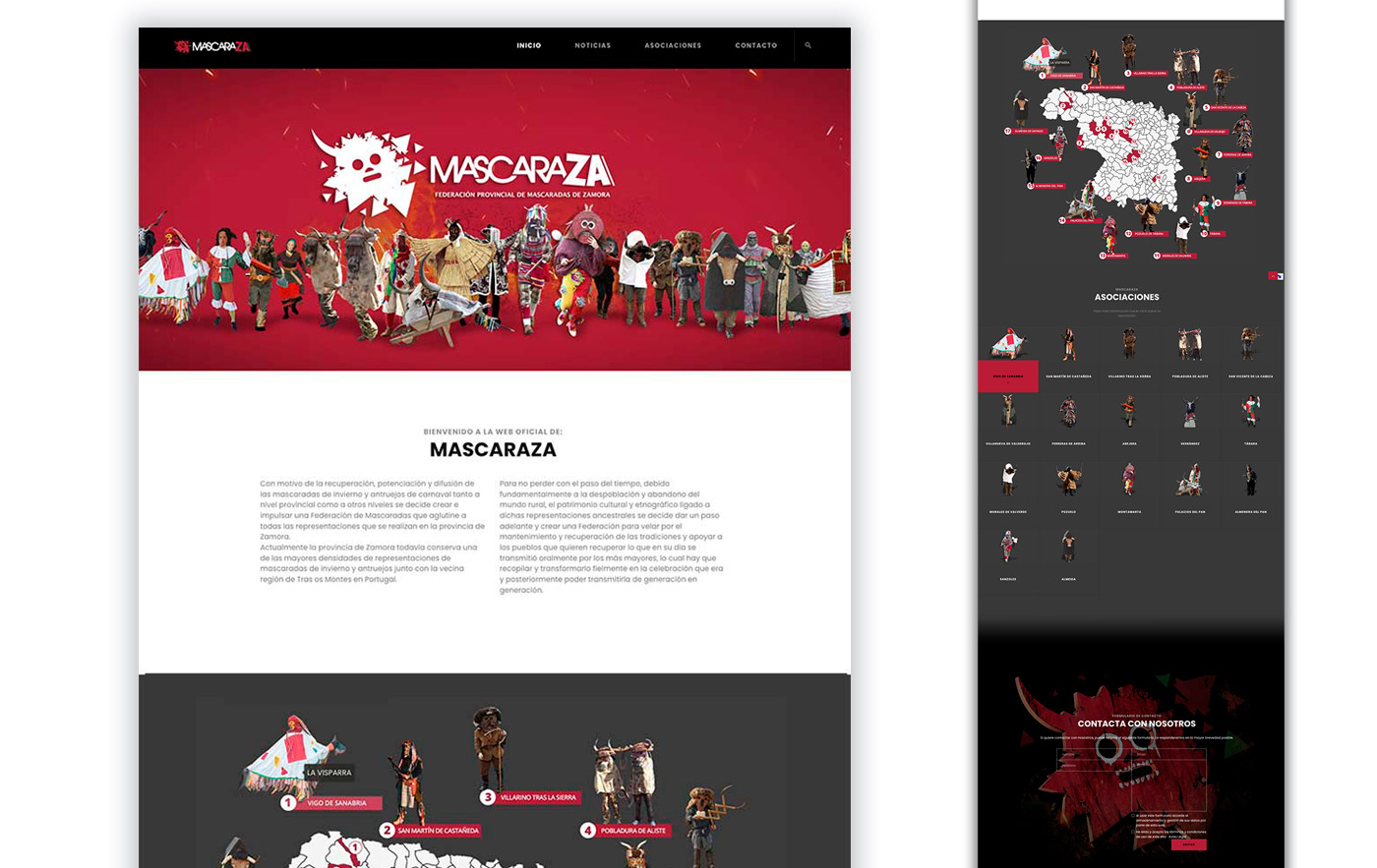 diseño de pagina web para asociación cultural