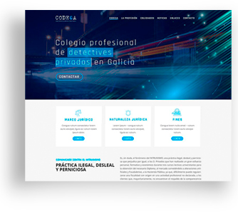 diseño de página web Colegio de detectives