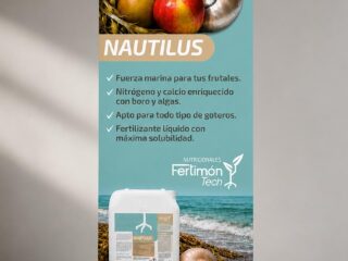 Diseño de rollup para Nautilus
